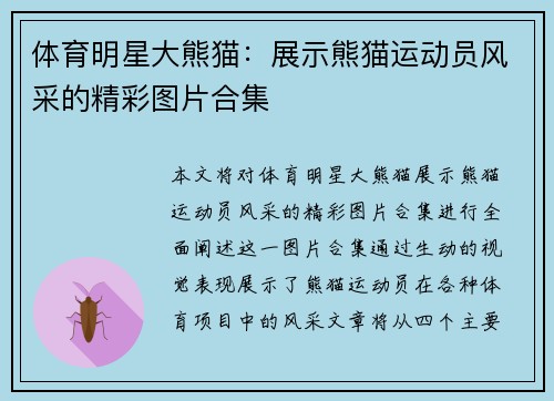 体育明星大熊猫：展示熊猫运动员风采的精彩图片合集